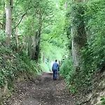 Klein Haasdal Studio's Апартаменты