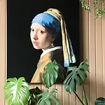 Klein Haasdal Studio's Schimmert