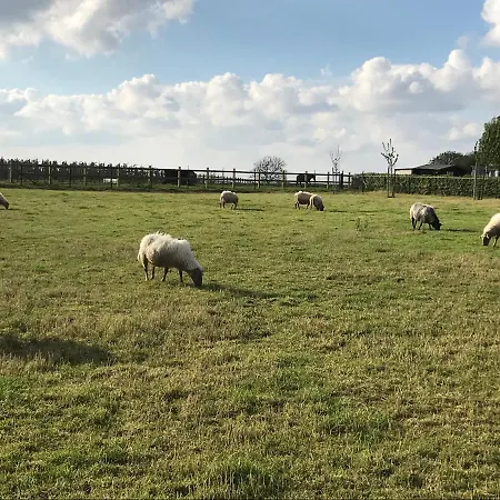 Klein Haasdal Studio's