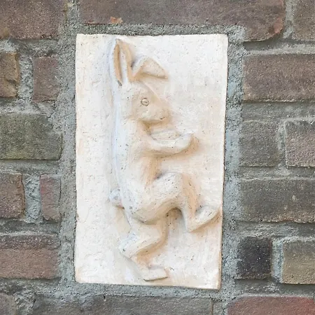 Klein Haasdal Studio's Schimmert