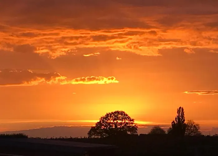 Klein Haasdal Studio's Appartement