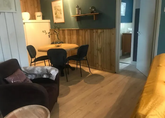 Klein Haasdal Studio's * Schimmert