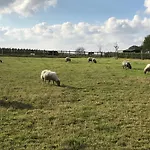 Klein Haasdal Studio's