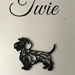 Klein Haasdal Studio's Daire