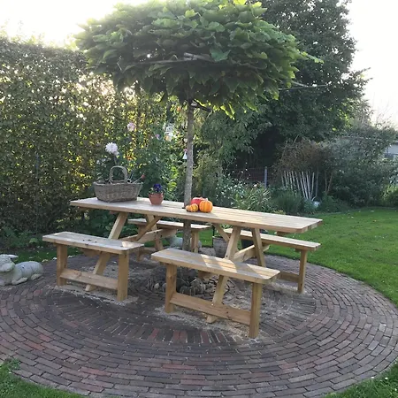 Klein Haasdal Studio's Schimmert