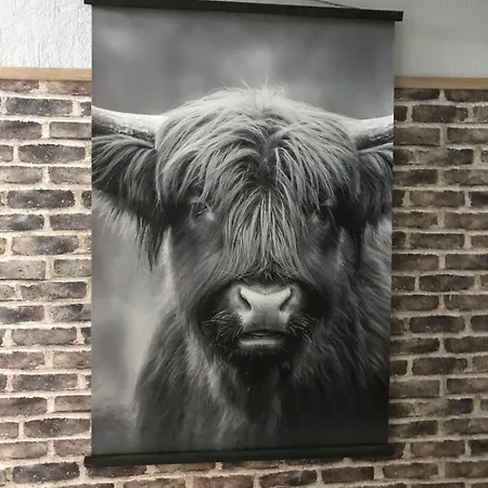 Klein Haasdal Studio's Lägenhet *