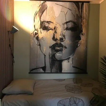 Daire Klein Haasdal Studio's Schimmert