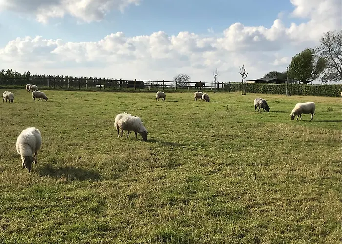 Klein Haasdal Studio's