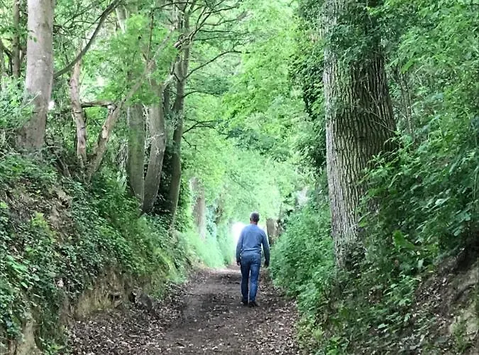 Klein Haasdal Studio's 아파트