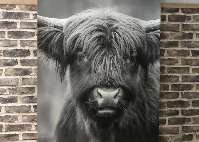 Klein Haasdal Studio's 아파트 *